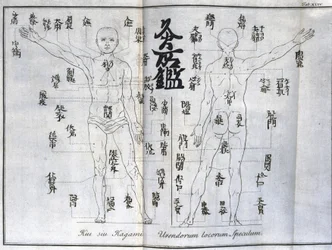 Acupuncture: chart of the human body indicating the moxibustion points, Japan (chart relating to moxa, c. 1690)