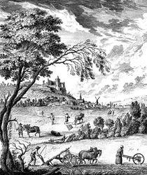 Agriculture