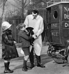Ambulance of the National Canine Defence League, London, 1926-1927