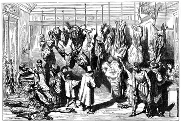 An English Butcher
