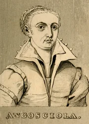 Angosciola