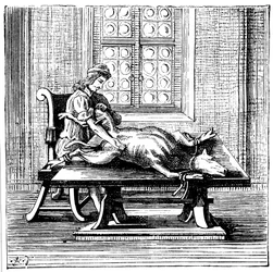 Animal-to-Human Blood Transfusion, 1679