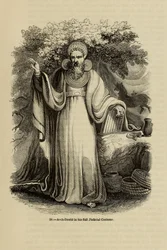 Arch-Druid in his full Judicial Costume, from the book Old England: A Pictorial Museum