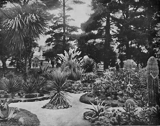 Arizona Garden, Monterey, California