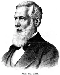 Asa Gray, American botanist