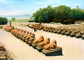 Avenue of Ram-Headed Sphinxes, Temple of Amun-Re, Karnak, Luxor, Egypt