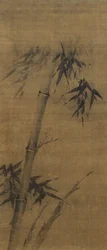 Bamboo