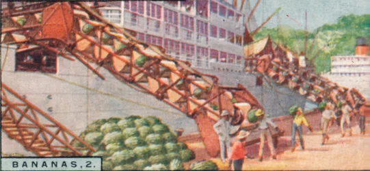 Bananas 2 - Loading a Steamship, Costa Rica