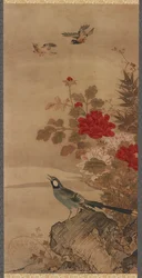 Birds and flowers