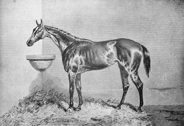 Blink Bonny, 1854-1862