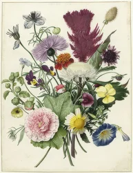 Bouquet of Flowers