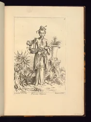Chinese Botanist