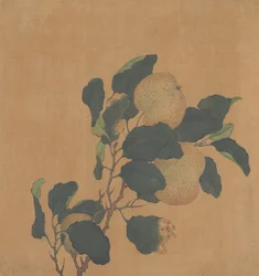 Branch of Tree with Fruit