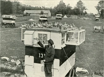 British Army Carrier Pigeons in France: Horse-Drawn Lofts