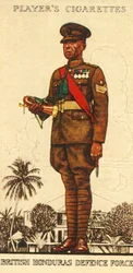 British Honduras Defence Force