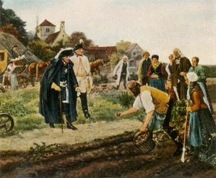 Building the Country After the Seven Years War: the King Overall