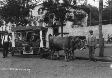 Bullock carriage, Madeira, Portugal
