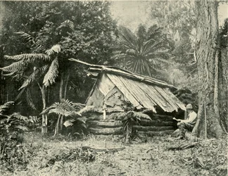 Bush Hut, Dandenong Ranges, Victoria, 1901