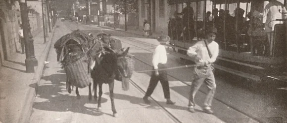By Tram and Mule