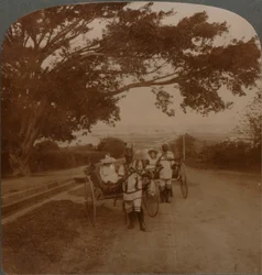 Cabs Drawn by Natives on a Residence Road, Durban, South Africa