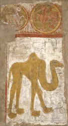 Camel
