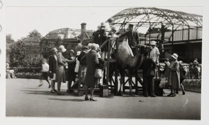 Camel ride, c 1930