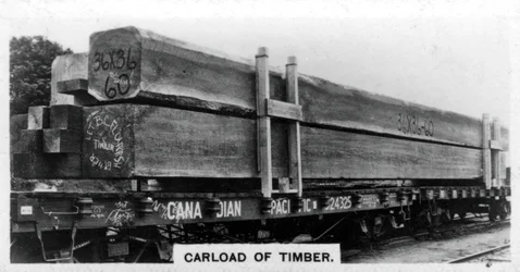 Carload of Douglas Fir, Canada, 1920s