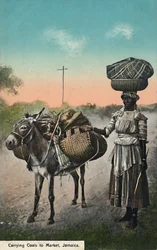 Carrying Coals to Market, Jamaica