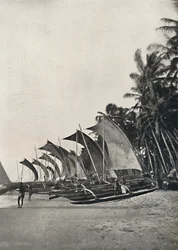 Ceylonese Fishing Boats with Outriggers