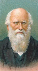Charles Darwin, British naturalist