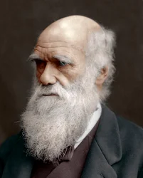Charles Darwin, British naturalist, 1878