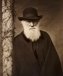 Charles Darwin at his home at Down House, Kent
