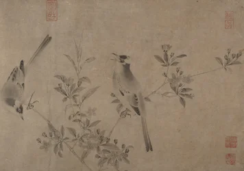 Chinese Bulbuls on Flowering Cherry-Apple