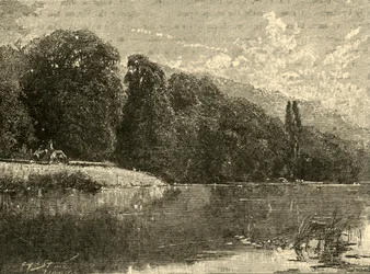 Cliefden Woods
