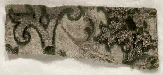 Cloth of Gold