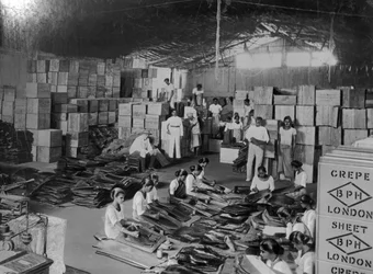 Coconut production, India, 20th century