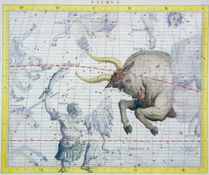 Constellation of Taurus