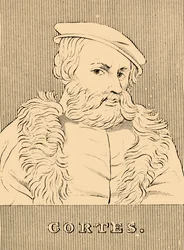 Cortes