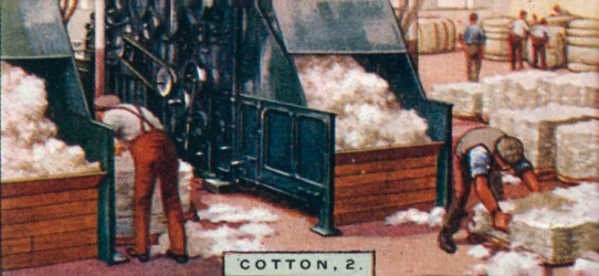 Cotton - Breaking Up Bales in Mixing Room, England