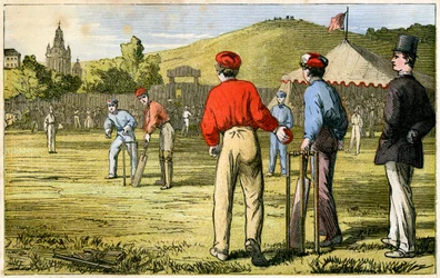 Cricket