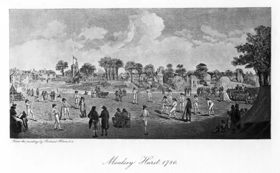 Cricket at Moulsey Hurst