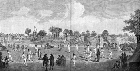 Cricket at Moulsey Hurst