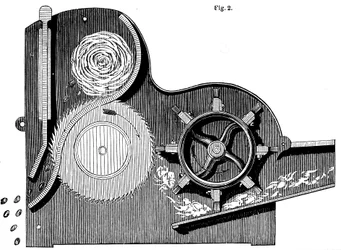 Cross-Section of Eli Whitney