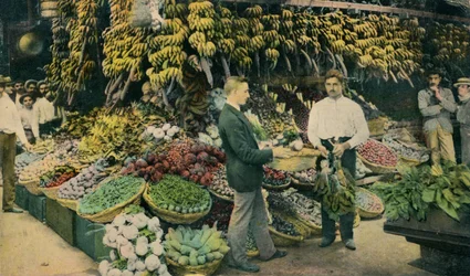 Cuban Fruit Store
