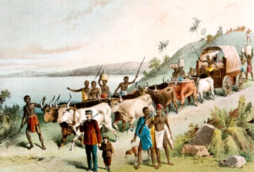 David Livingstone, Scottish missionary and African explorer