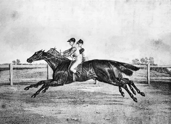 Dead-Heat between Lanercost and Beeswing, 1835-1850