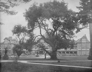 Del Monte, Monterey, California, c1897