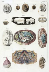 Dendrites and agates