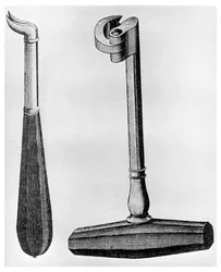 Dental Punch and English Key
