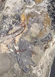 Detail from a Paleochristian fresco in the apse (detail)